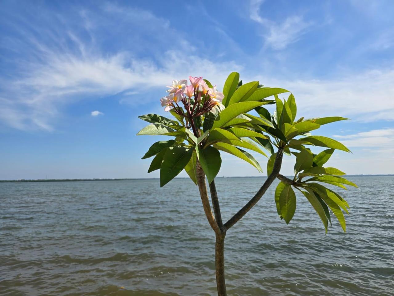 Lagoon Bay Resort Negombo Exterior foto